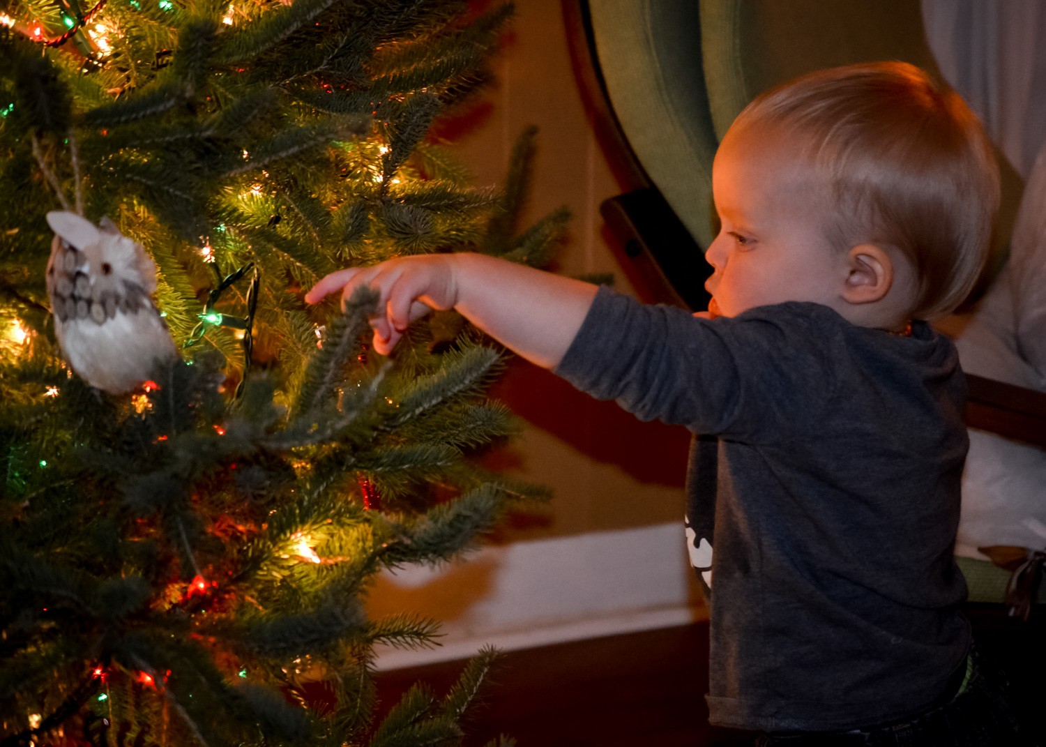 5 Expert Lighting Tips for Stunning Christmas Tree Family Portraits This Holiday Season