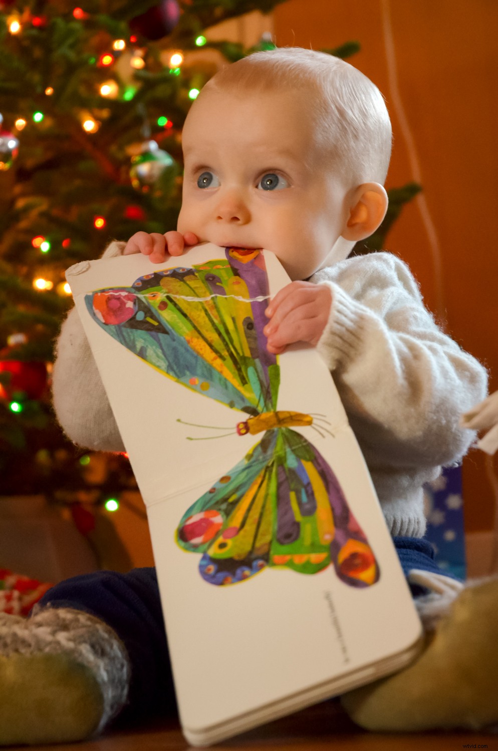 5 Expert Lighting Tips for Stunning Christmas Tree Family Portraits This Holiday Season