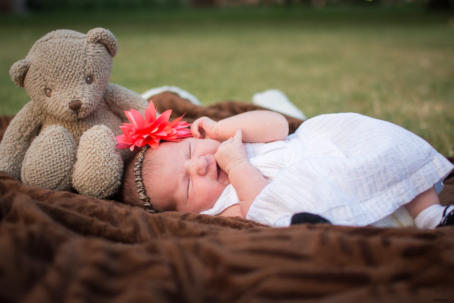 Ultimate Preflight Checklist for Perfect Family Photo Sessions