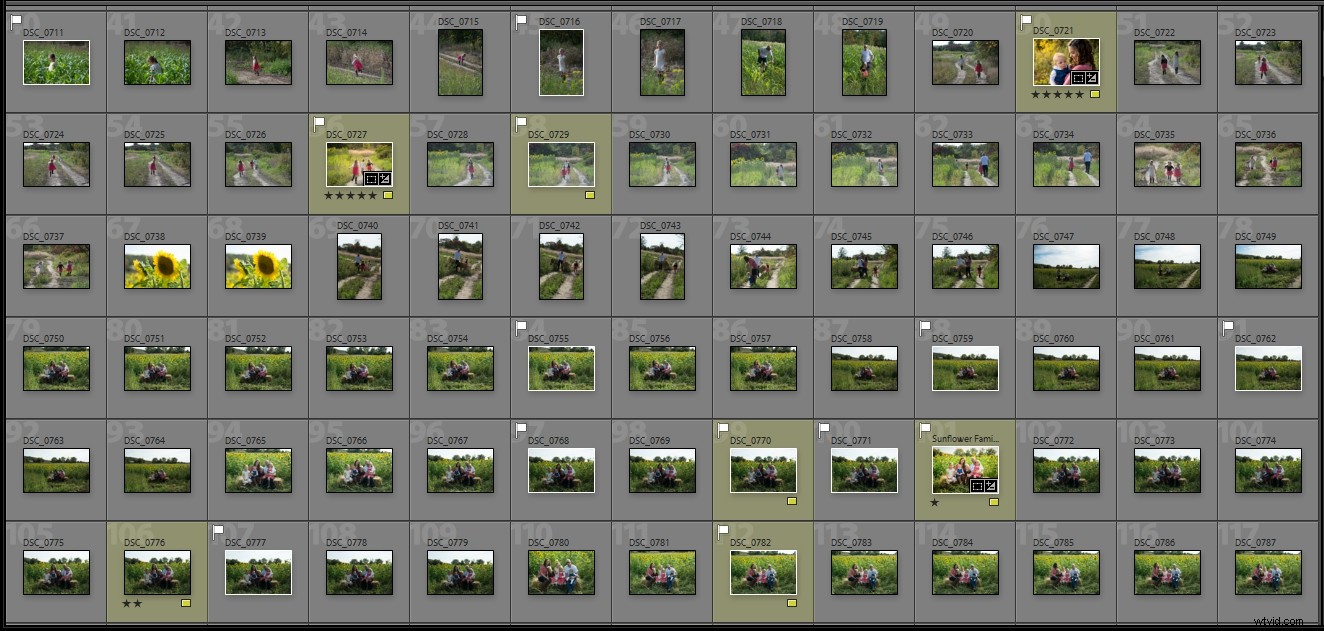 Behind the Scenes: Inside a Real Family Photo Session with Pro Tips