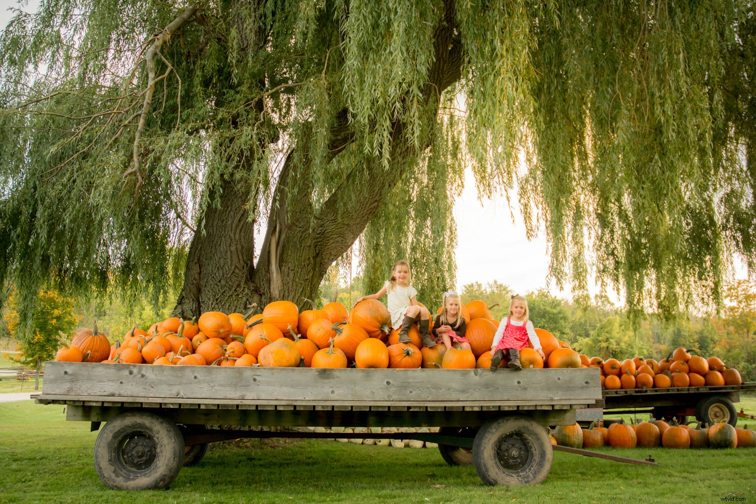 Behind the Scenes: Inside a Real Family Photo Session with Pro Tips