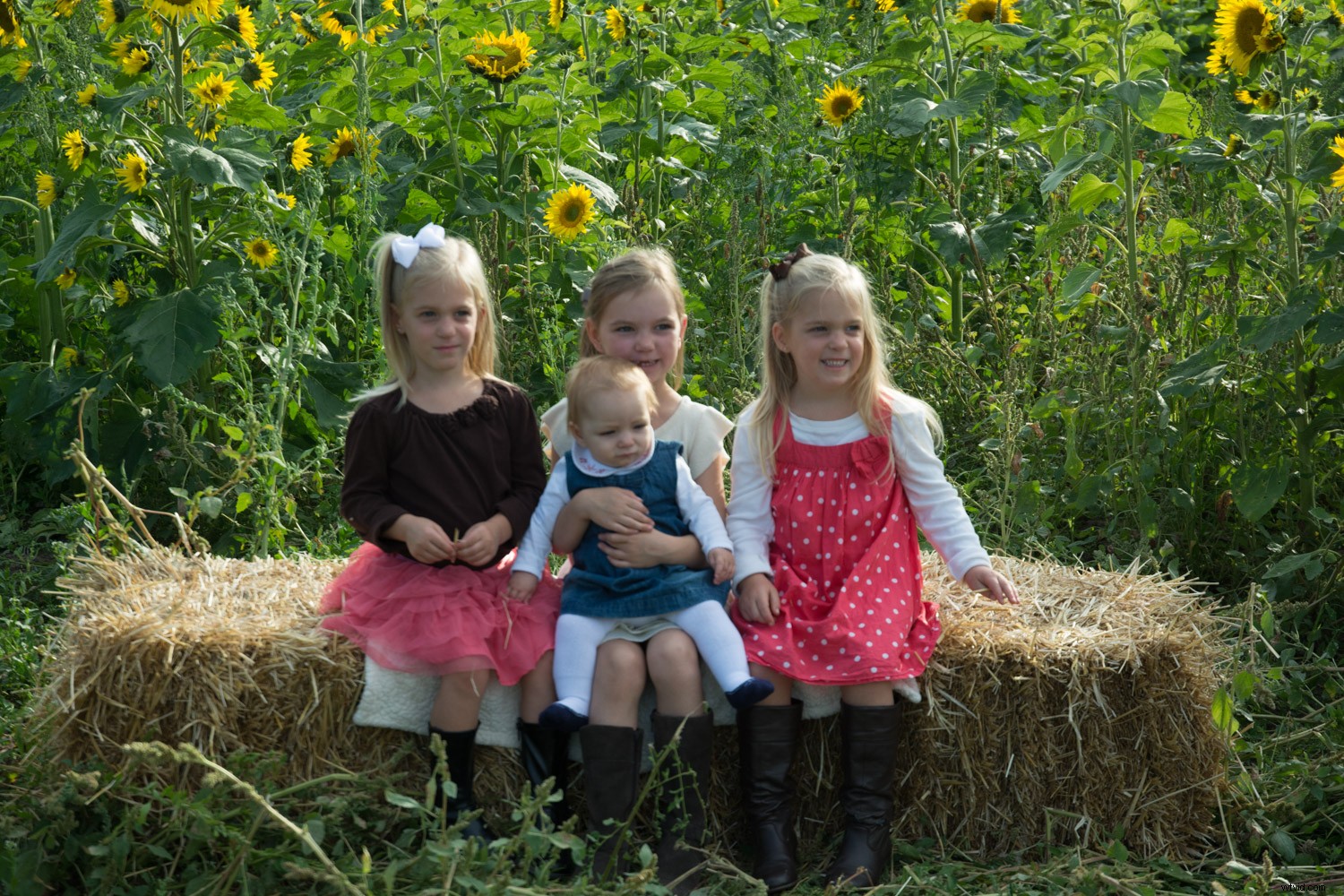 Behind the Scenes: Inside a Real Family Photo Session with Pro Tips