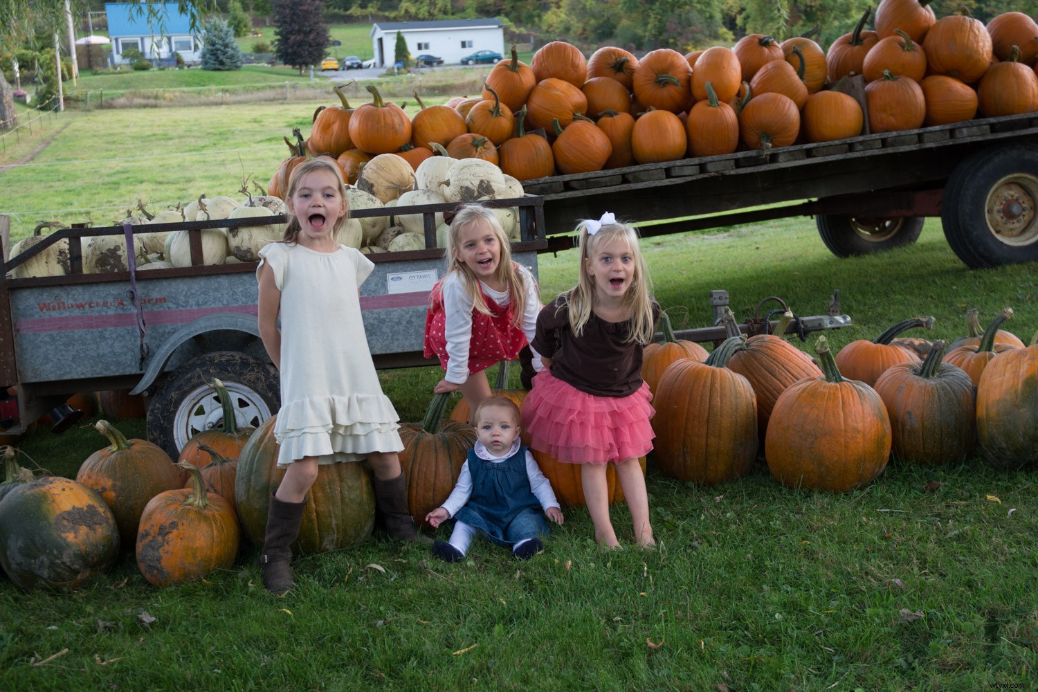 Behind the Scenes: Inside a Real Family Photo Session with Pro Tips