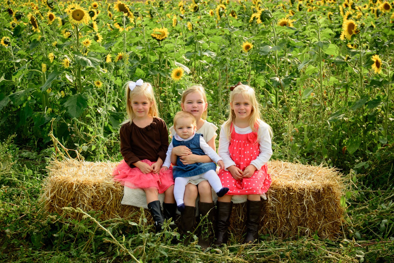 Behind the Scenes: Inside a Real Family Photo Session with Pro Tips