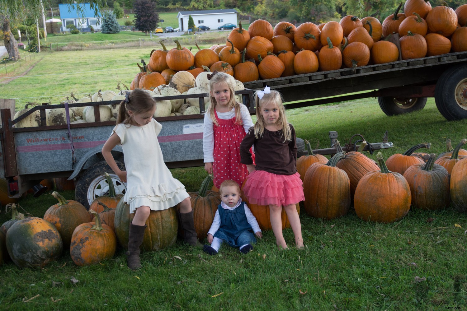 Behind the Scenes: Inside a Real Family Photo Session with Pro Tips