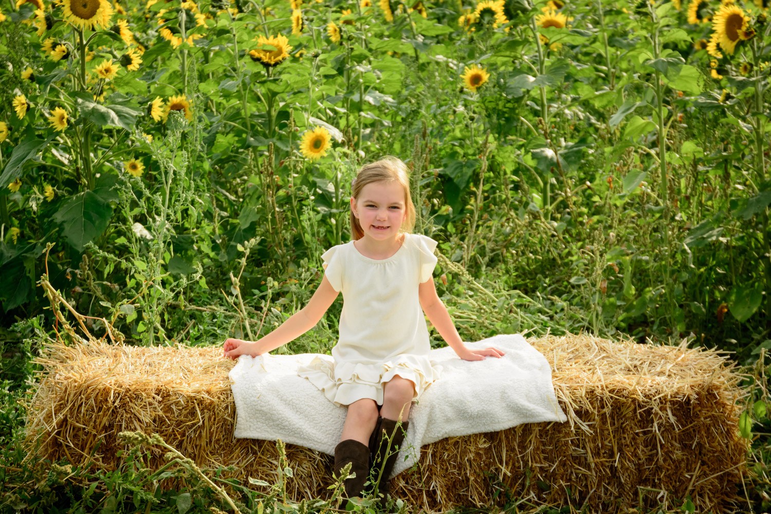 Behind the Scenes: Inside a Real Family Photo Session with Pro Tips