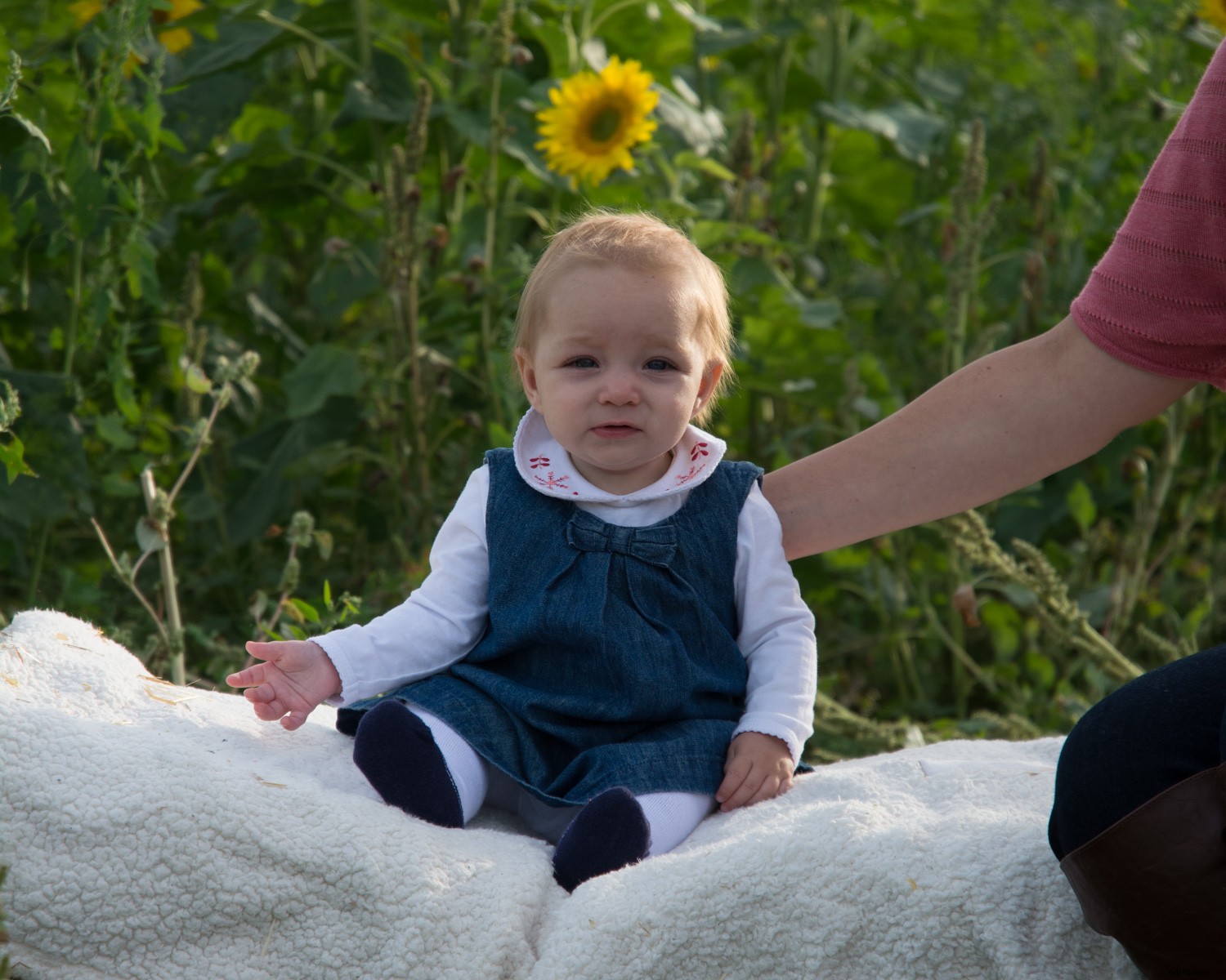 Behind the Scenes: Inside a Real Family Photo Session with Pro Tips