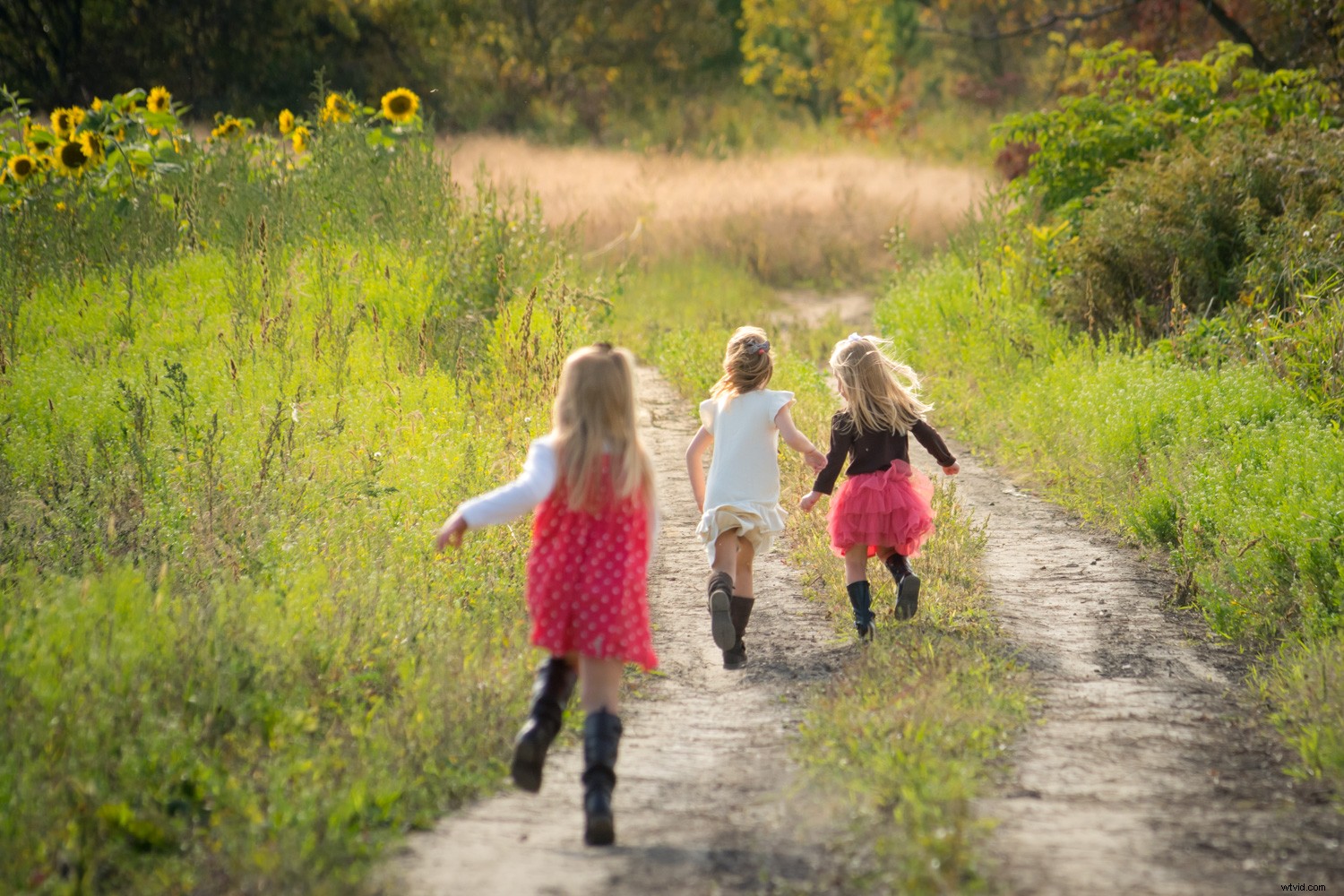 Behind the Scenes: Inside a Real Family Photo Session with Pro Tips