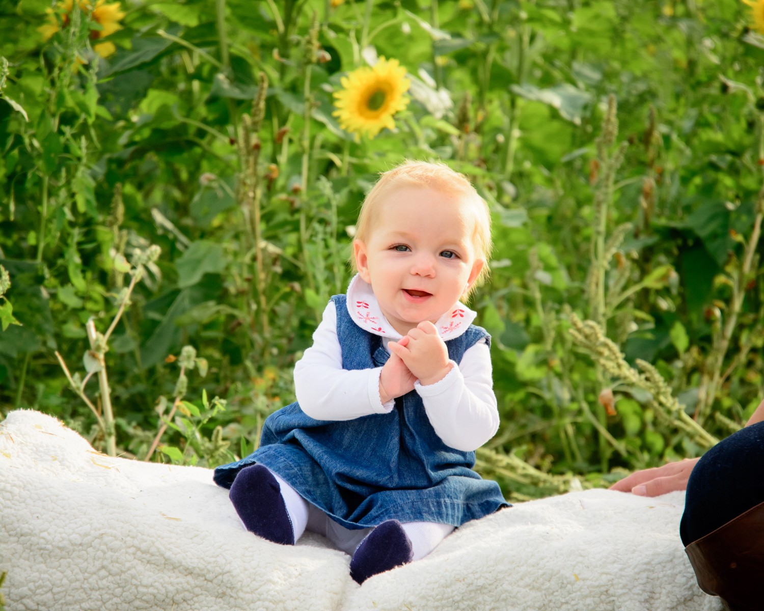 Behind the Scenes: Inside a Real Family Photo Session with Pro Tips