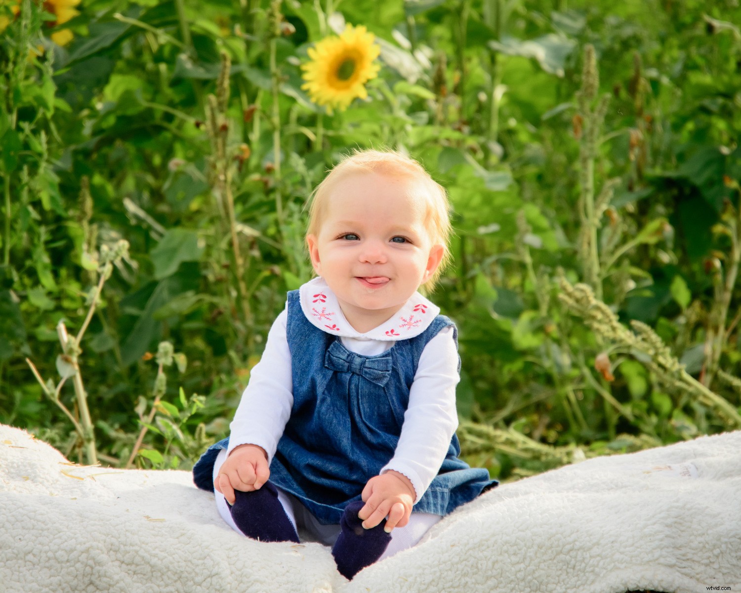 Behind the Scenes: Inside a Real Family Photo Session with Pro Tips