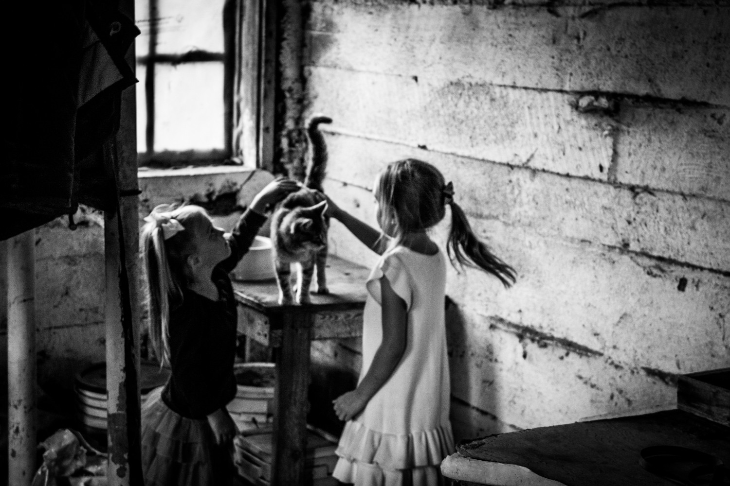 Behind the Scenes: Inside a Real Family Photo Session with Pro Tips