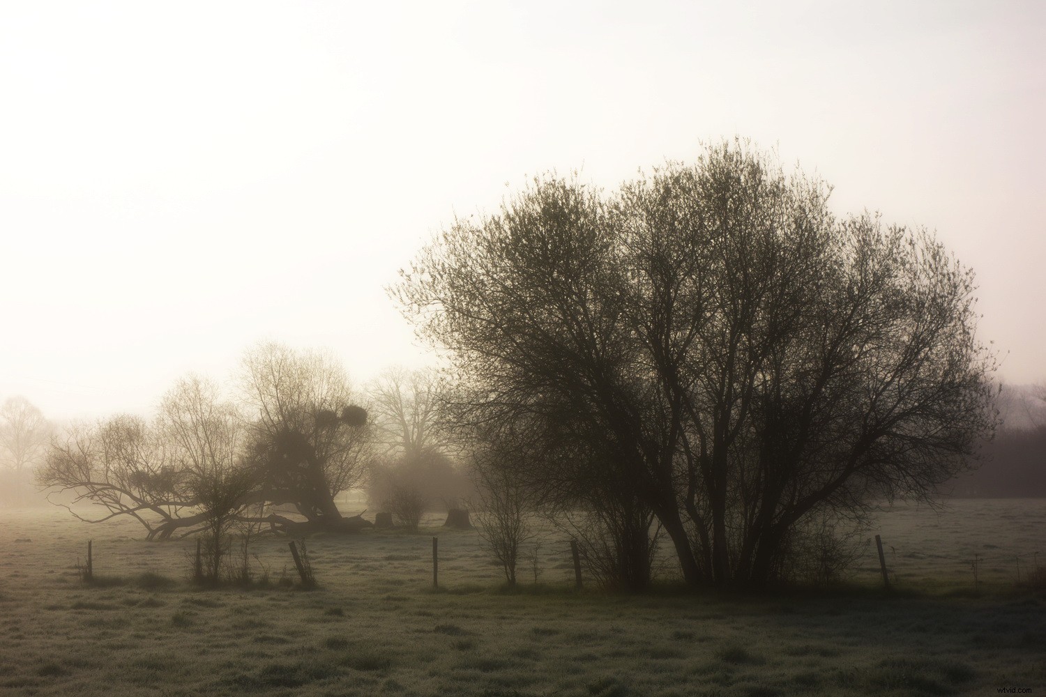 Expert Review: ACDSee Photo Studio Standard 2019 – Master Photo Cataloging Like a Pro