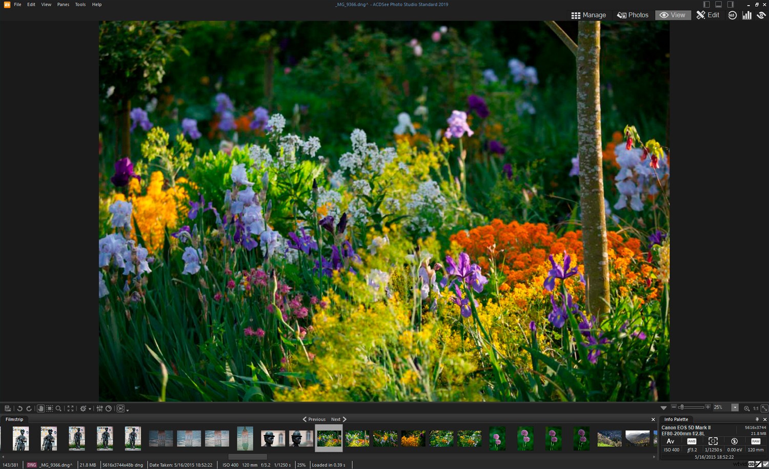 Expert Review: ACDSee Photo Studio Standard 2019 – Catalog Photos Like a Pro