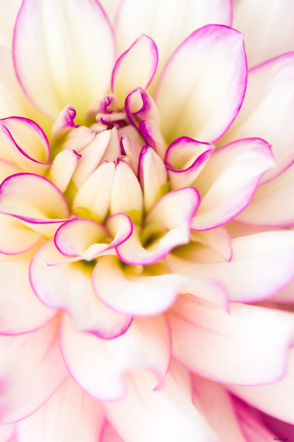 7 Proven Photography Exercises to Elevate Your Nature Shots