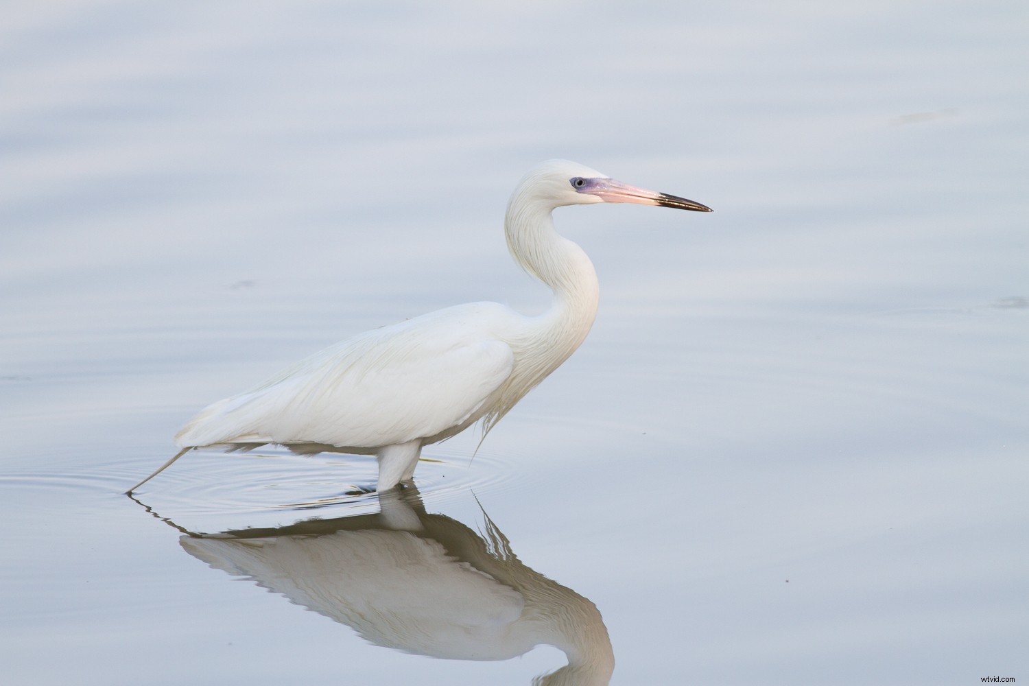 7 Proven Photography Exercises to Elevate Your Nature Shots