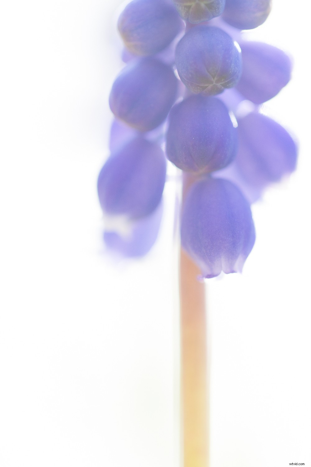 7 Proven Photography Exercises to Elevate Your Nature Shots