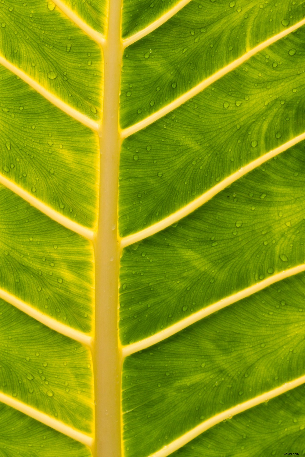 7 Proven Photography Exercises to Elevate Your Nature Shots