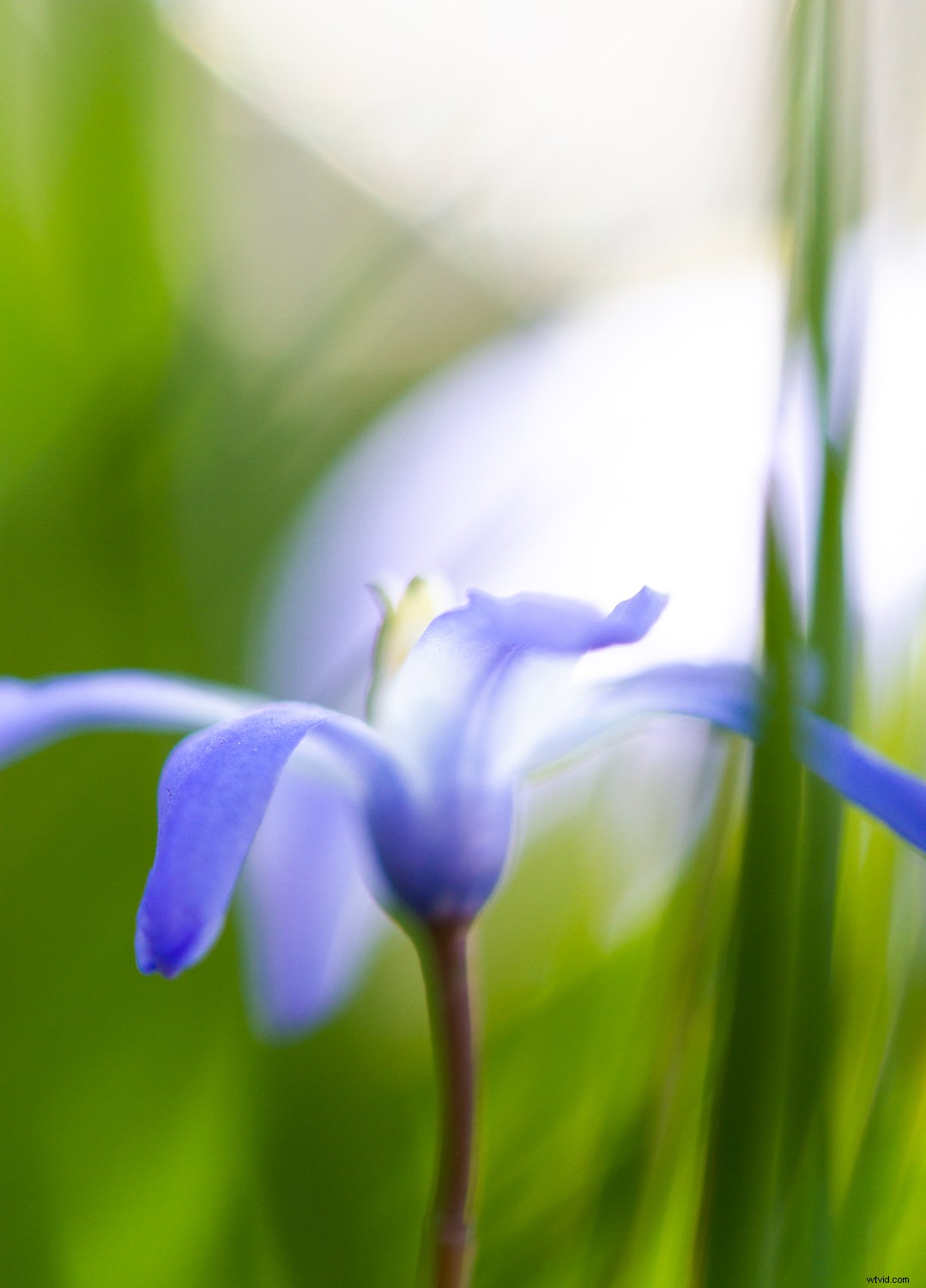 7 Proven Photography Exercises to Elevate Your Nature Shots