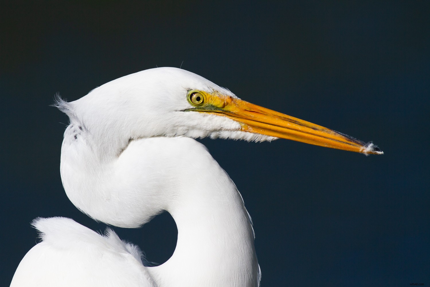 7 Proven Photography Exercises to Elevate Your Nature Shots