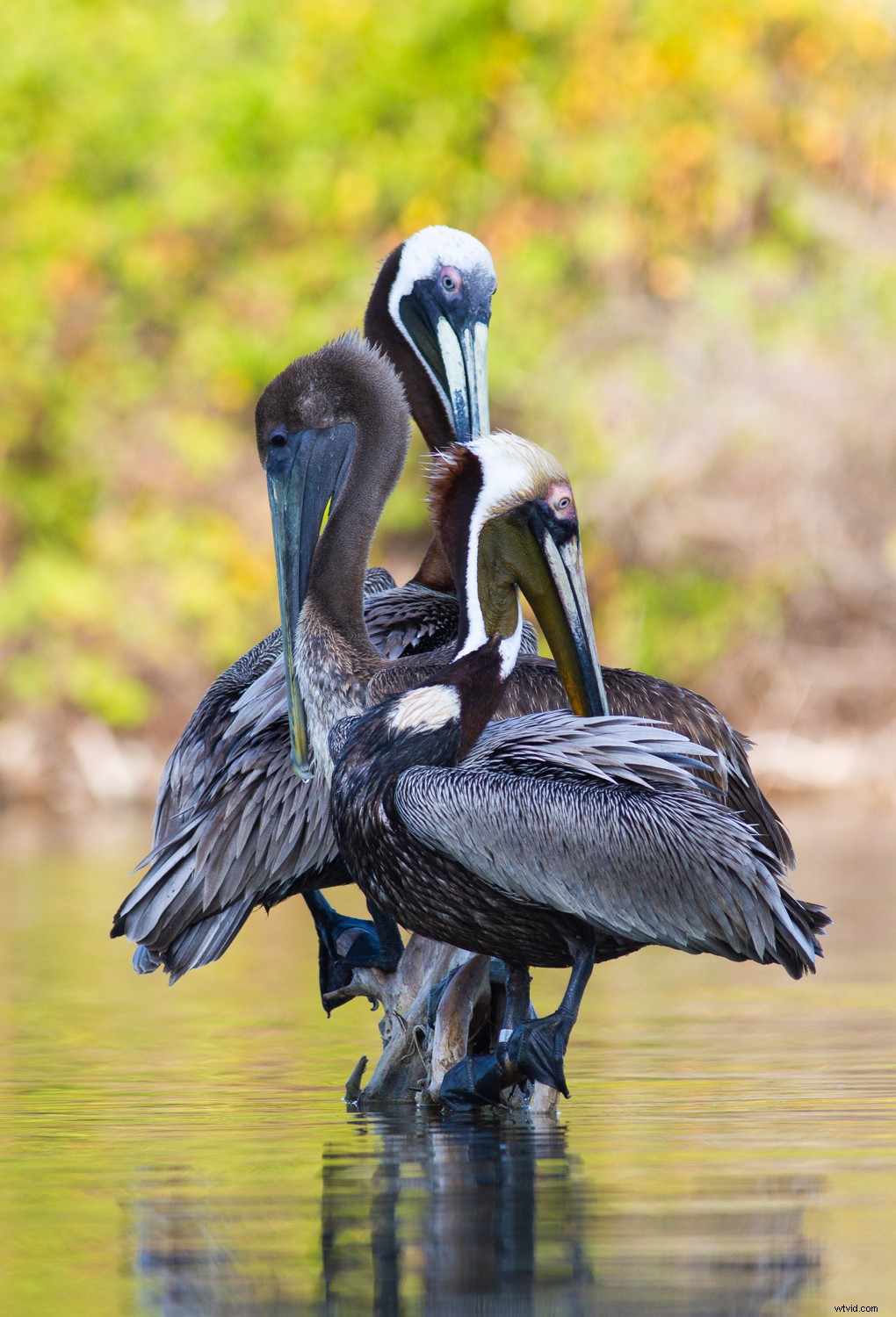 7 Proven Photography Exercises to Elevate Your Nature Shots