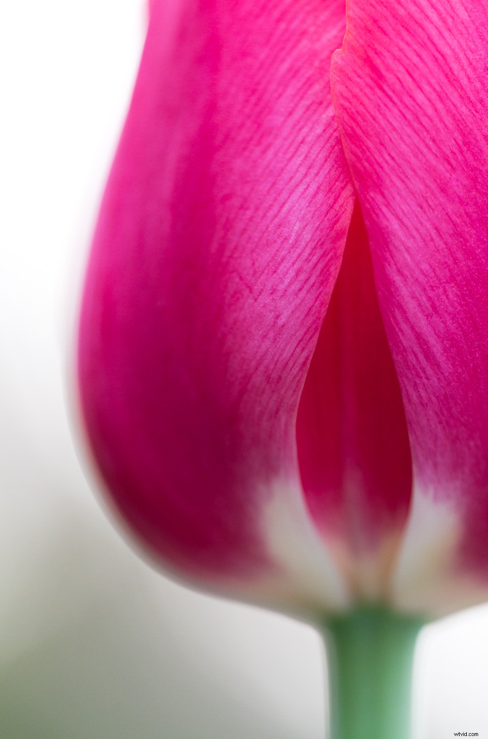 7 Proven Photography Exercises to Elevate Your Nature Shots