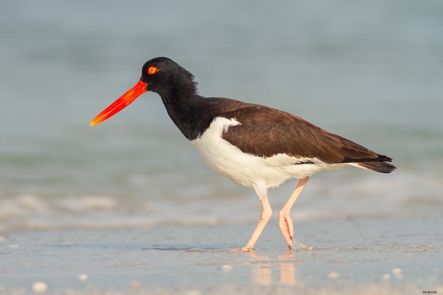 7 Proven Photography Exercises to Elevate Your Nature Shots