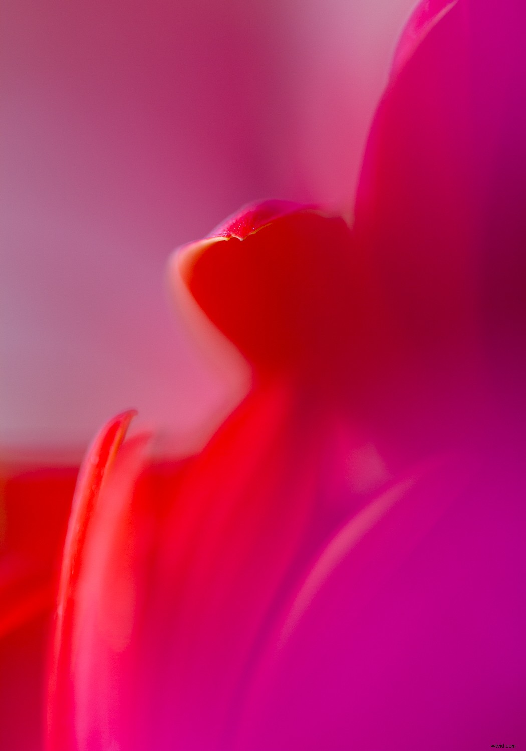 7 Proven Photography Exercises to Elevate Your Nature Shots