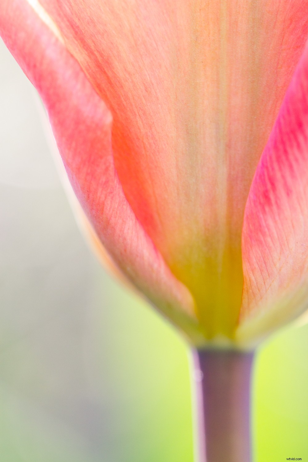 7 Proven Photography Exercises to Elevate Your Nature Shots