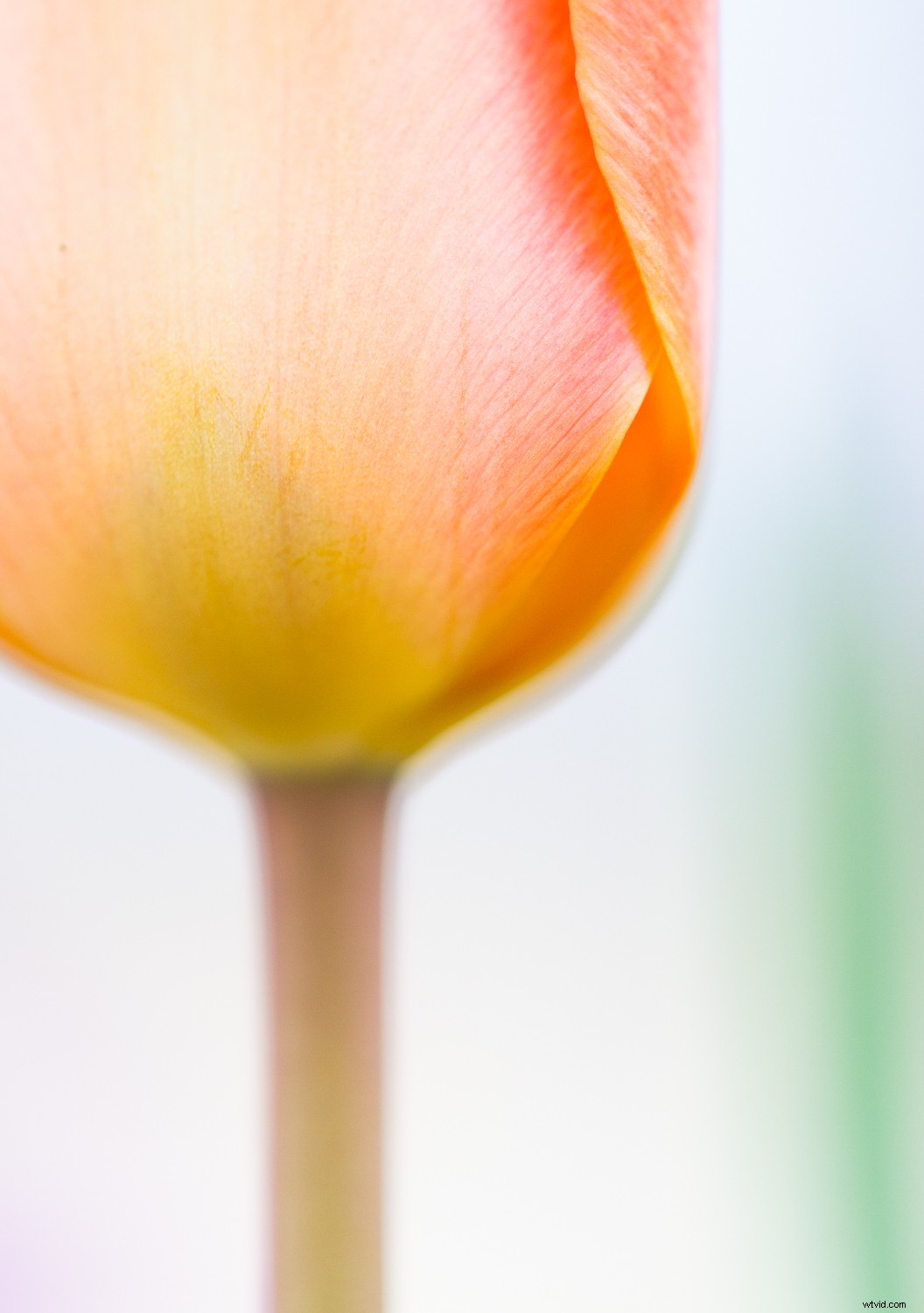 7 Proven Photography Exercises to Elevate Your Nature Shots