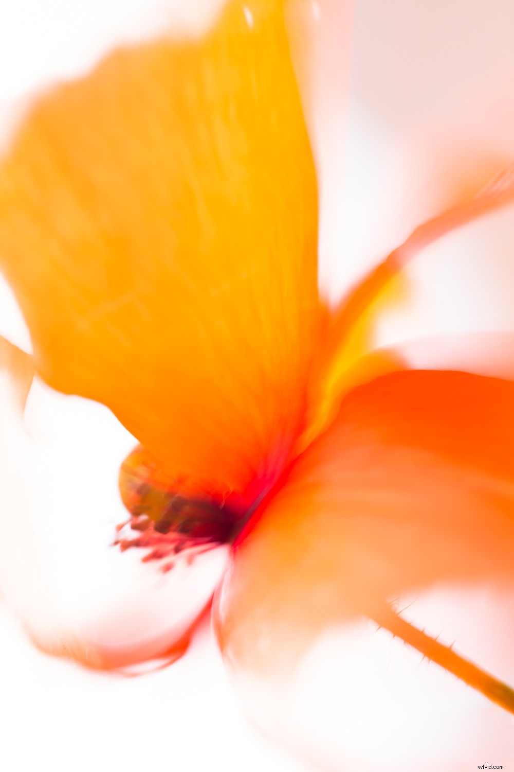 7 Proven Photography Exercises to Elevate Your Nature Shots