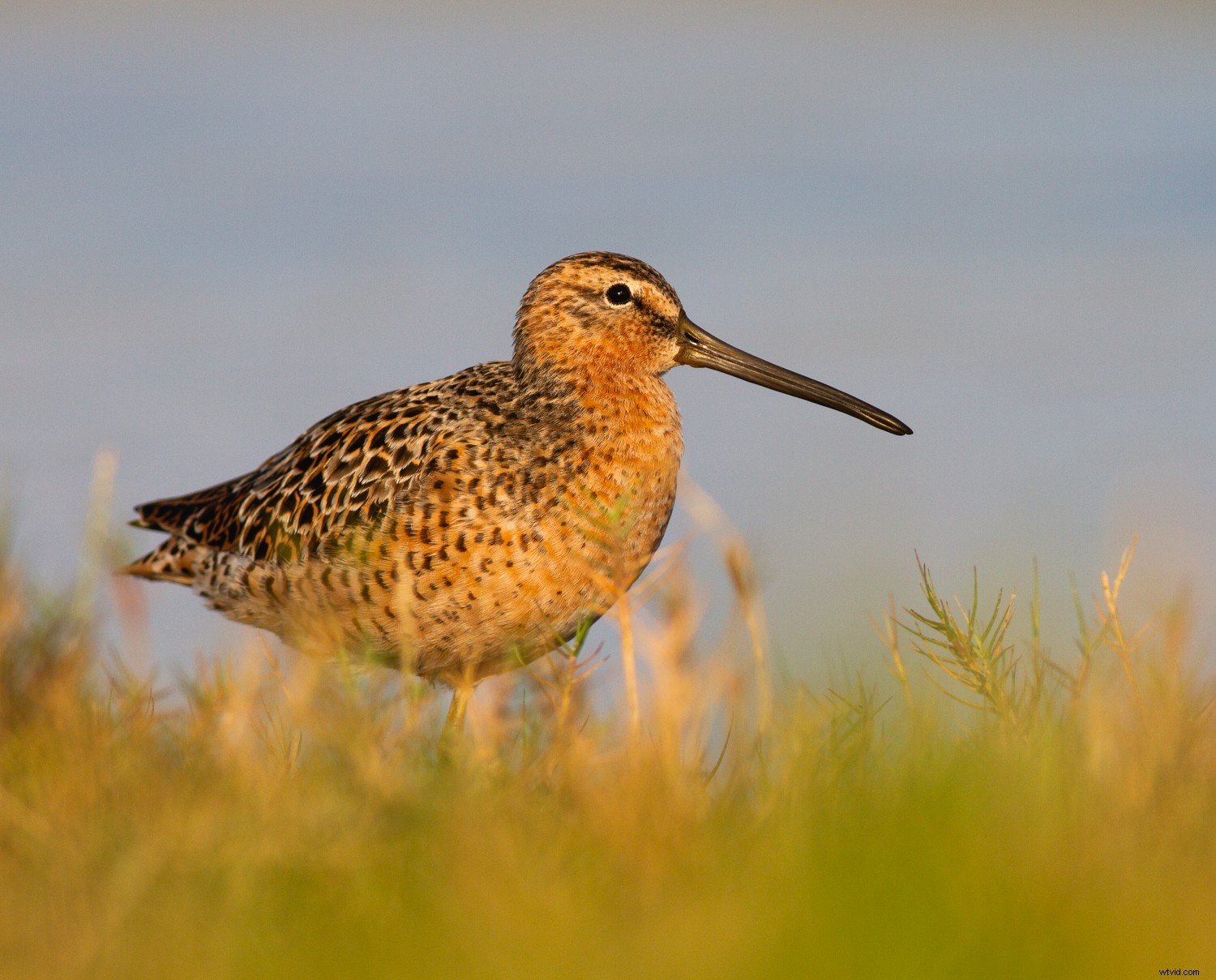 7 Proven Photography Exercises to Elevate Your Nature Shots