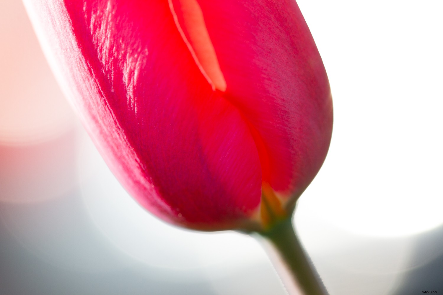 7 Proven Photography Exercises to Elevate Your Nature Shots