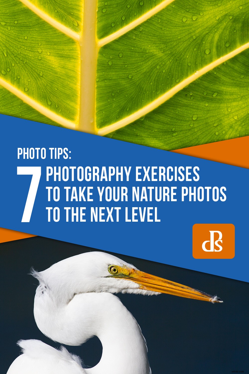 7 Proven Photography Exercises to Elevate Your Nature Shots