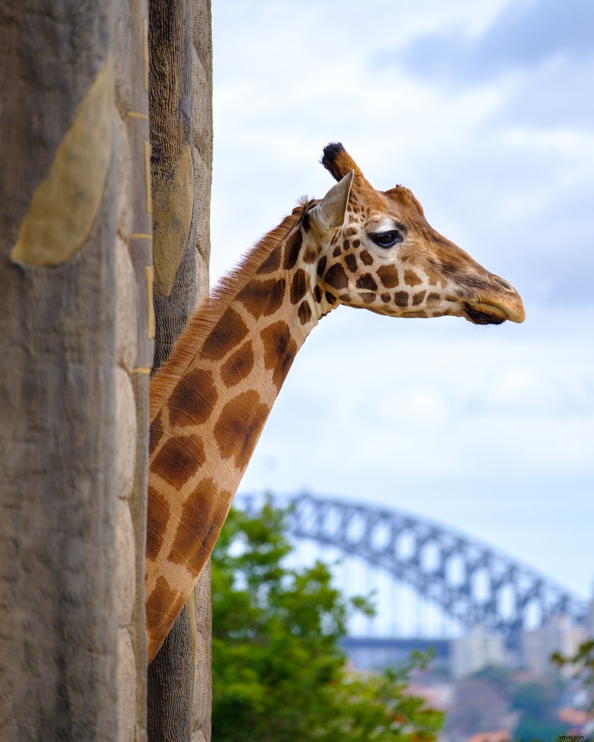 Expert Tips: Capture the Best of Any City in Just 48 Hours