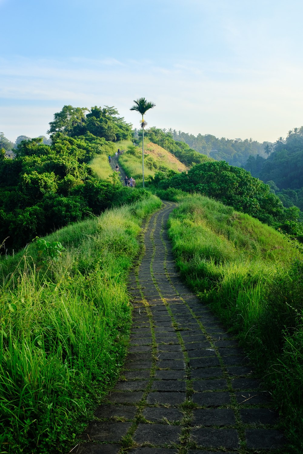 Expert Tips: Capture the Best of Any City in Just 48 Hours