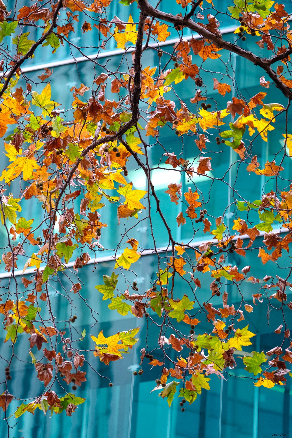 Expert Tips: Capture the Best of Any City in Just 48 Hours