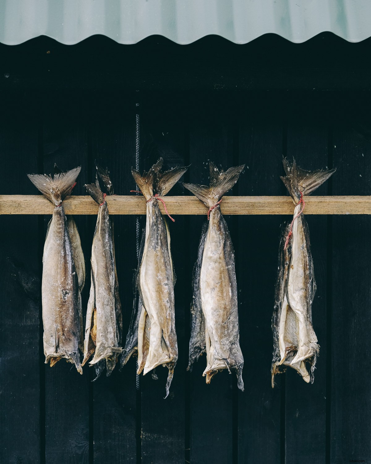 Expert Tips: Capture the Best of Any City in Just 48 Hours