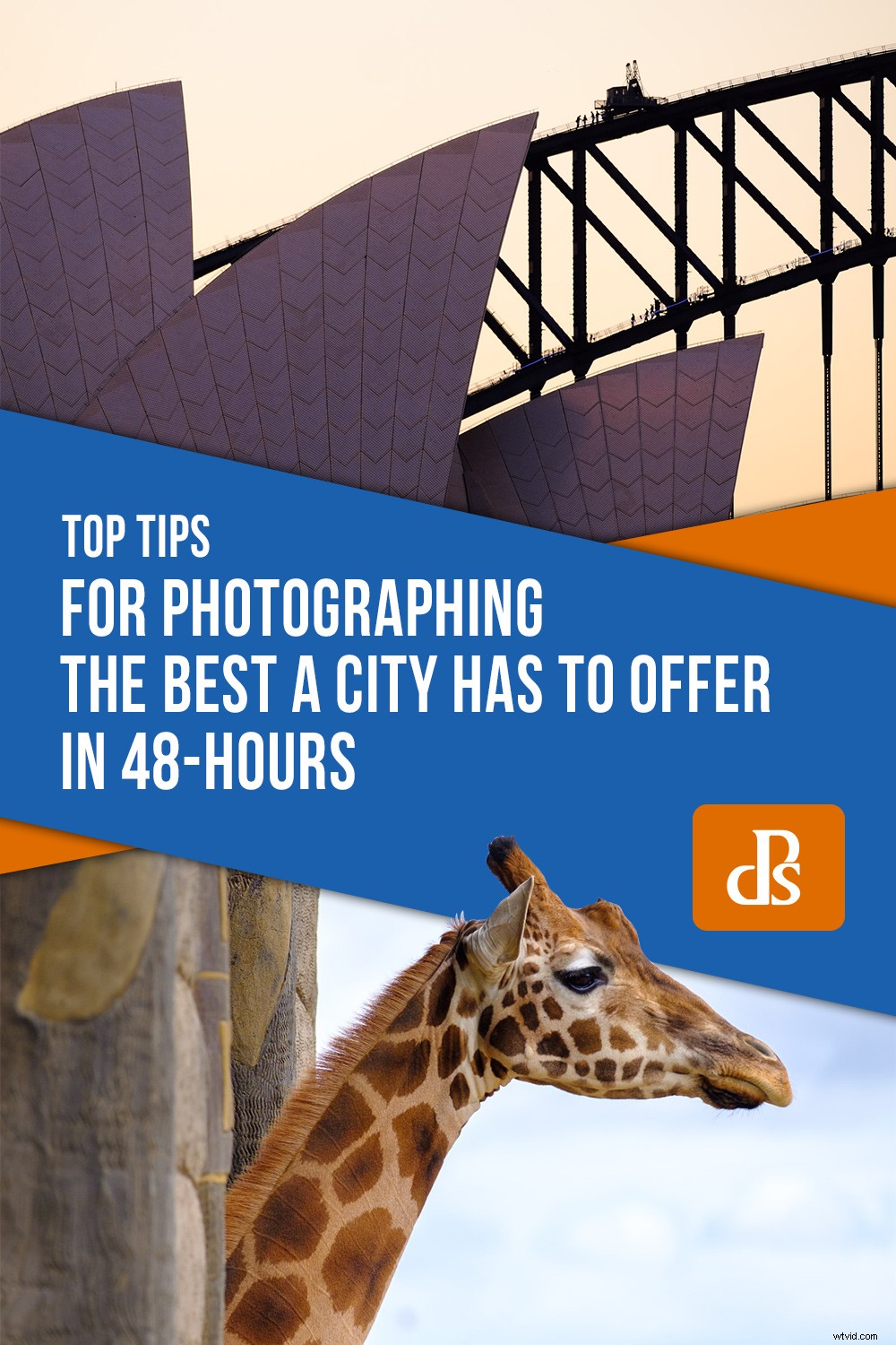 Expert Tips: Capture the Best of Any City in Just 48 Hours
