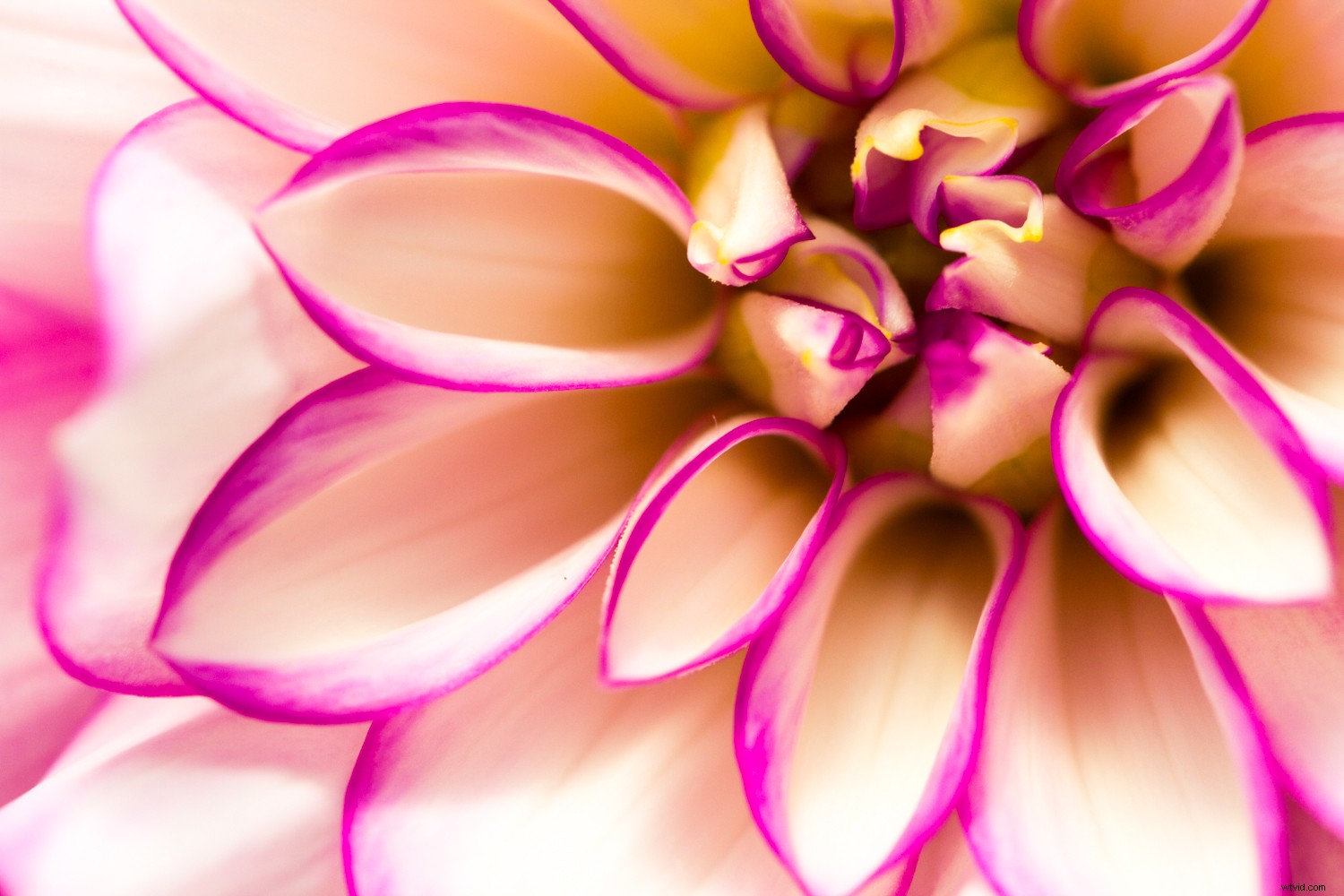 5 Expert Editing Tips for Stunning Nature Photography in Seconds