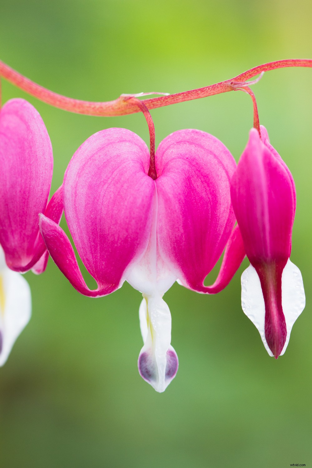 5 Expert Editing Tips for Stunning Nature Photography in Seconds