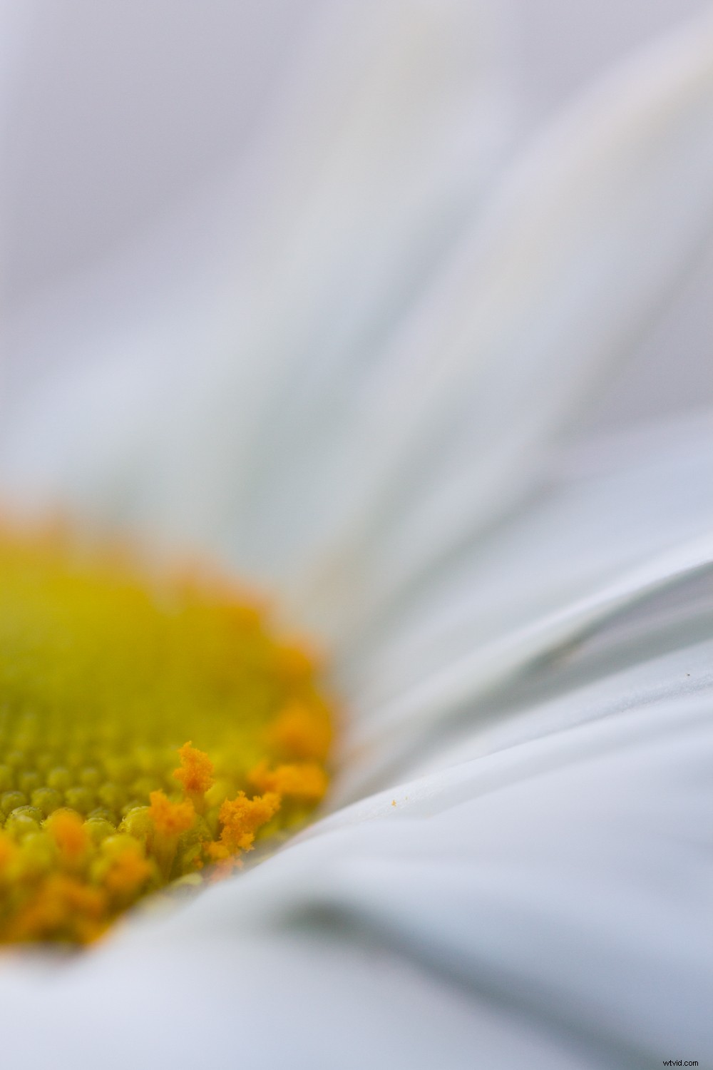 5 Expert Editing Tips for Stunning Nature Photography in Seconds