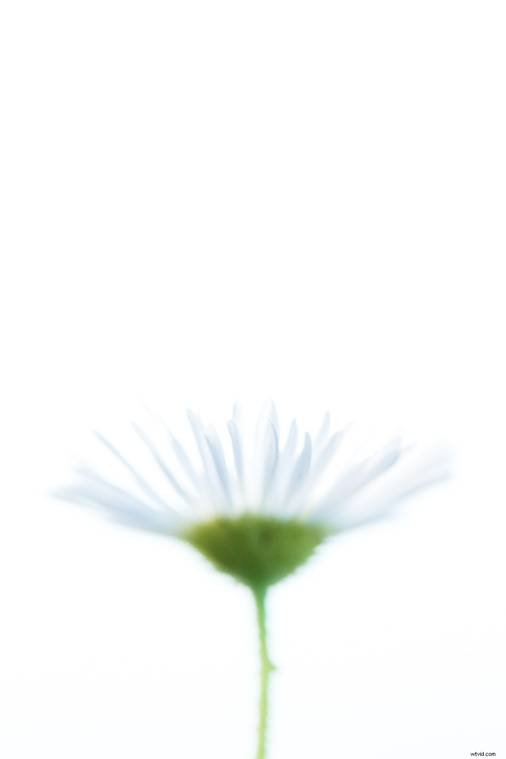 5 Expert Editing Tips for Stunning Nature Photography in Seconds