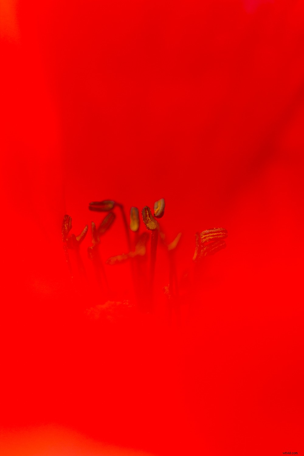 5 Expert Editing Tips for Stunning Nature Photography in Seconds