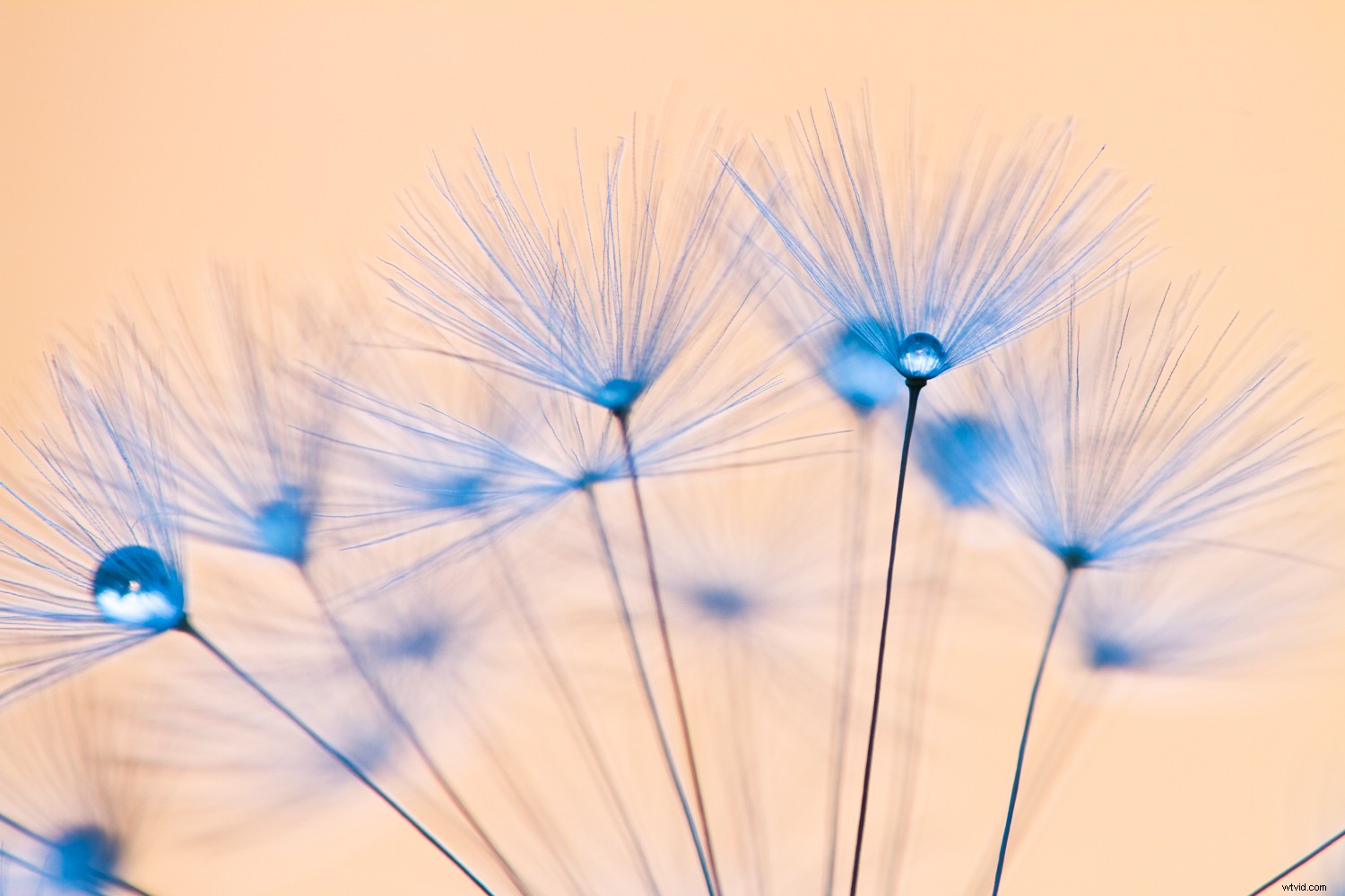 5 Expert Editing Tips for Stunning Nature Photography in Seconds