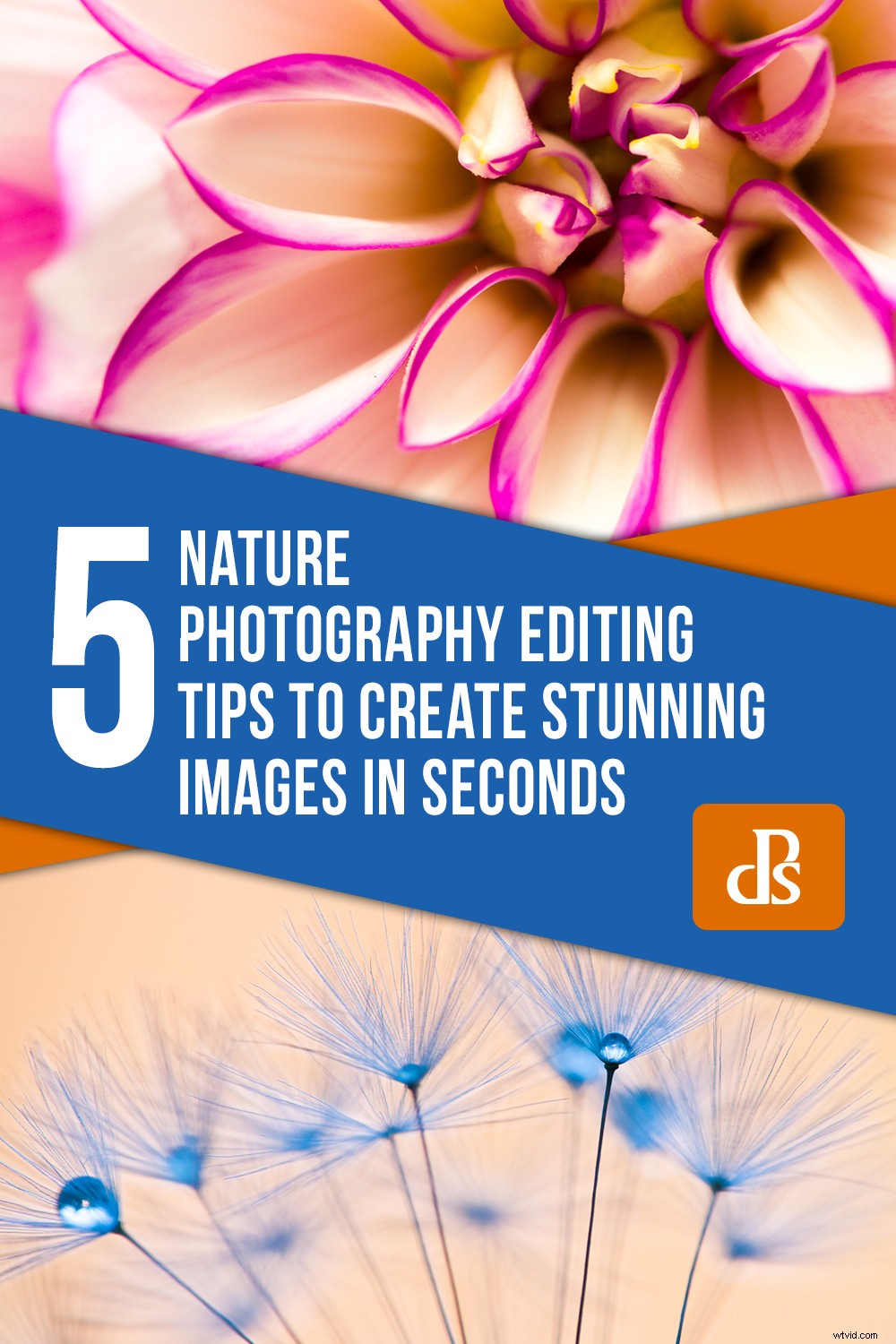 5 Expert Editing Tips for Stunning Nature Photography in Seconds