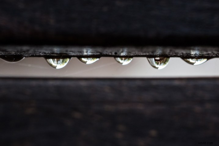 10 Expert Tips for Capturing Stunning Nature Photos in Your Backyard