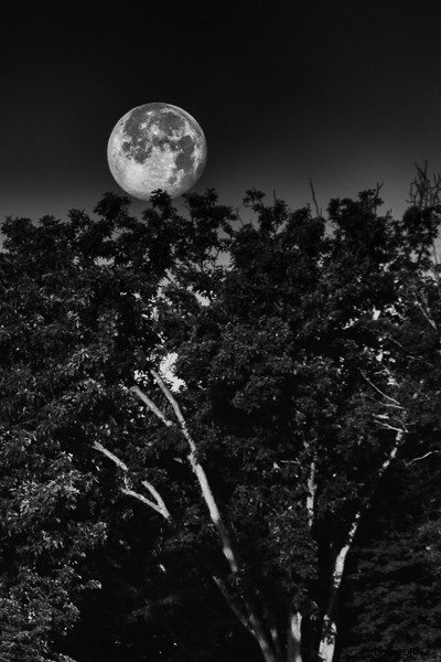 20 Expert Dos and Don ts for Capturing Stunning Moon Photos