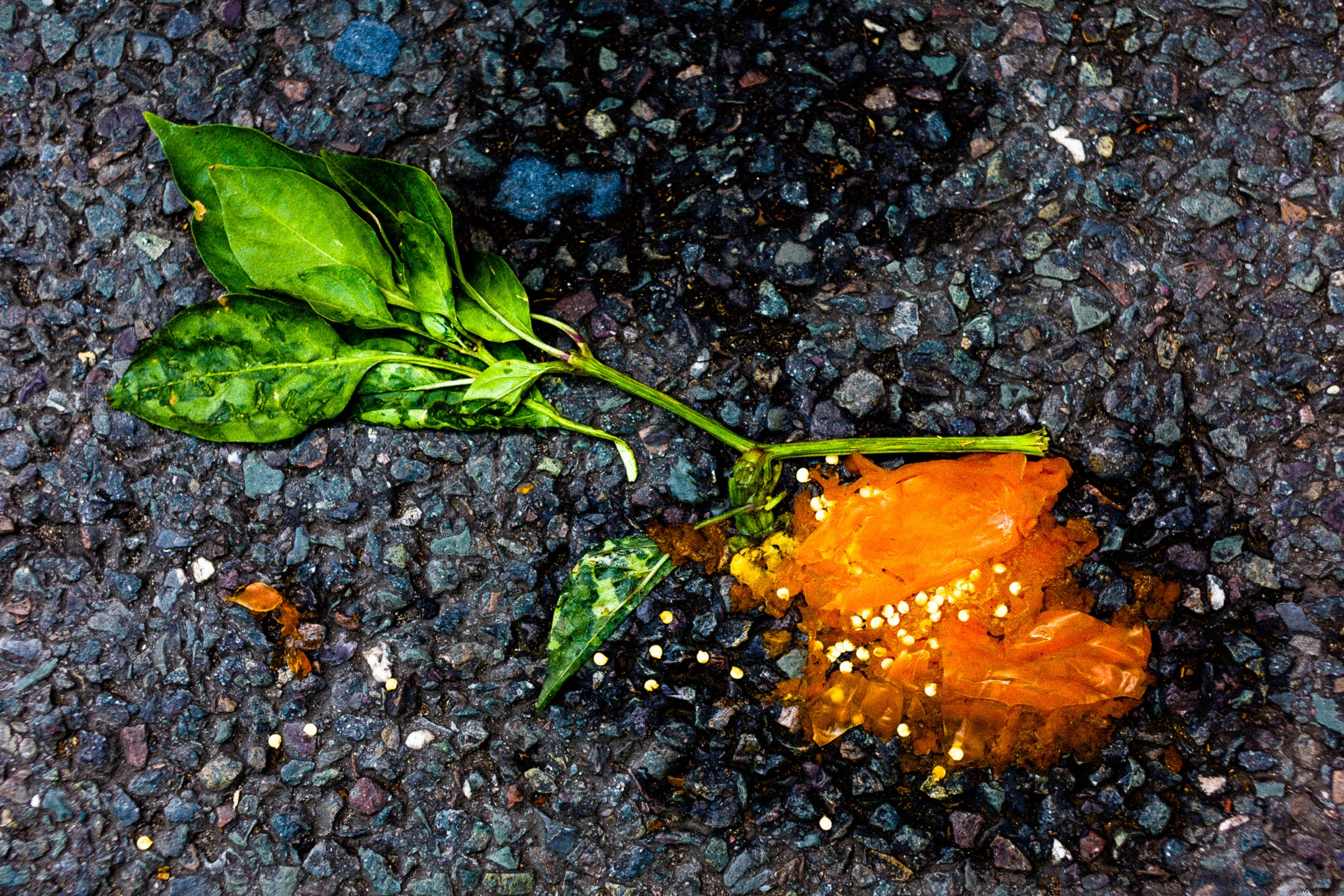 8 Creative Ideas for Stunning Abstract Photography