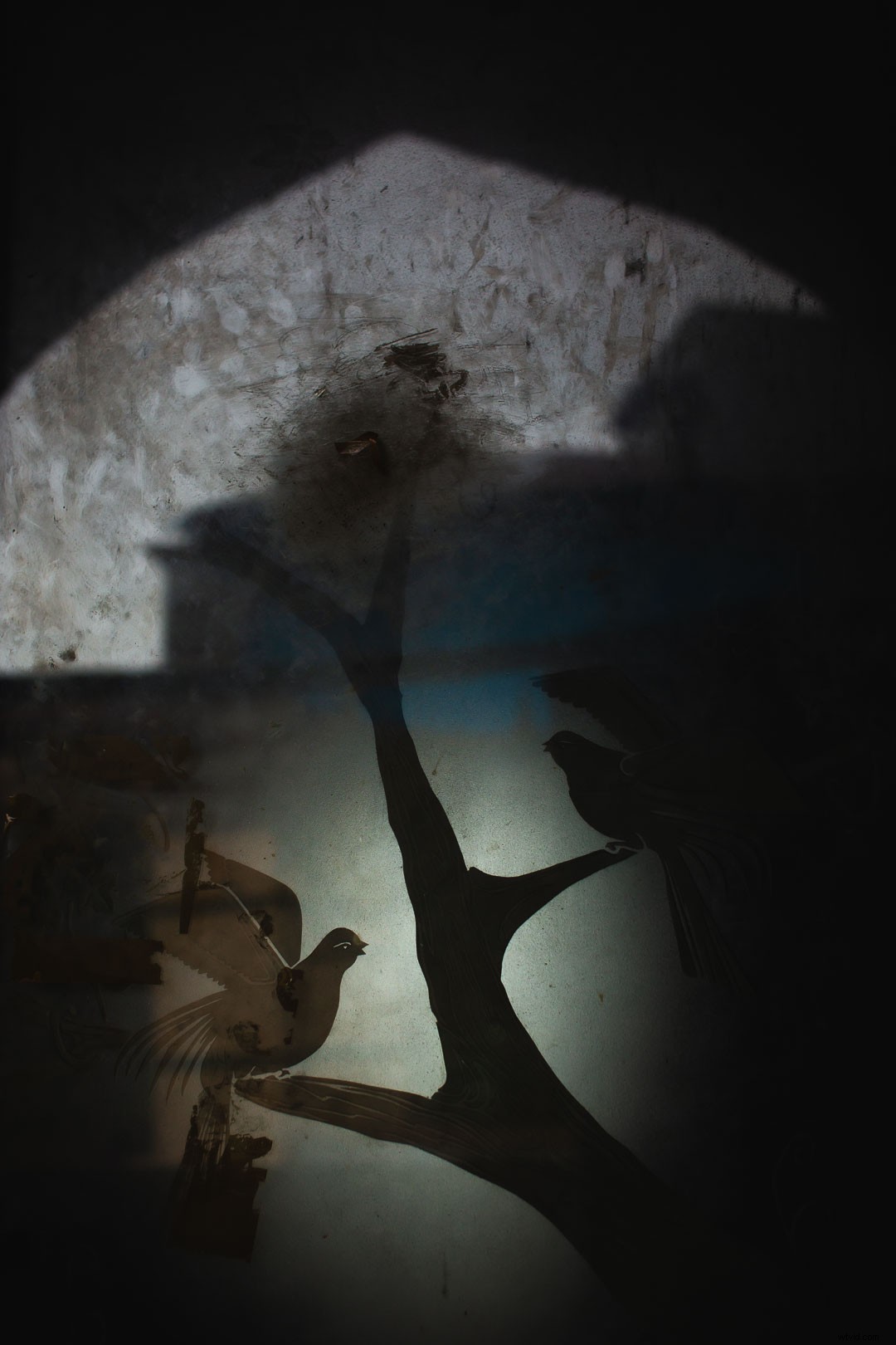 8 Creative Ideas for Stunning Abstract Photography