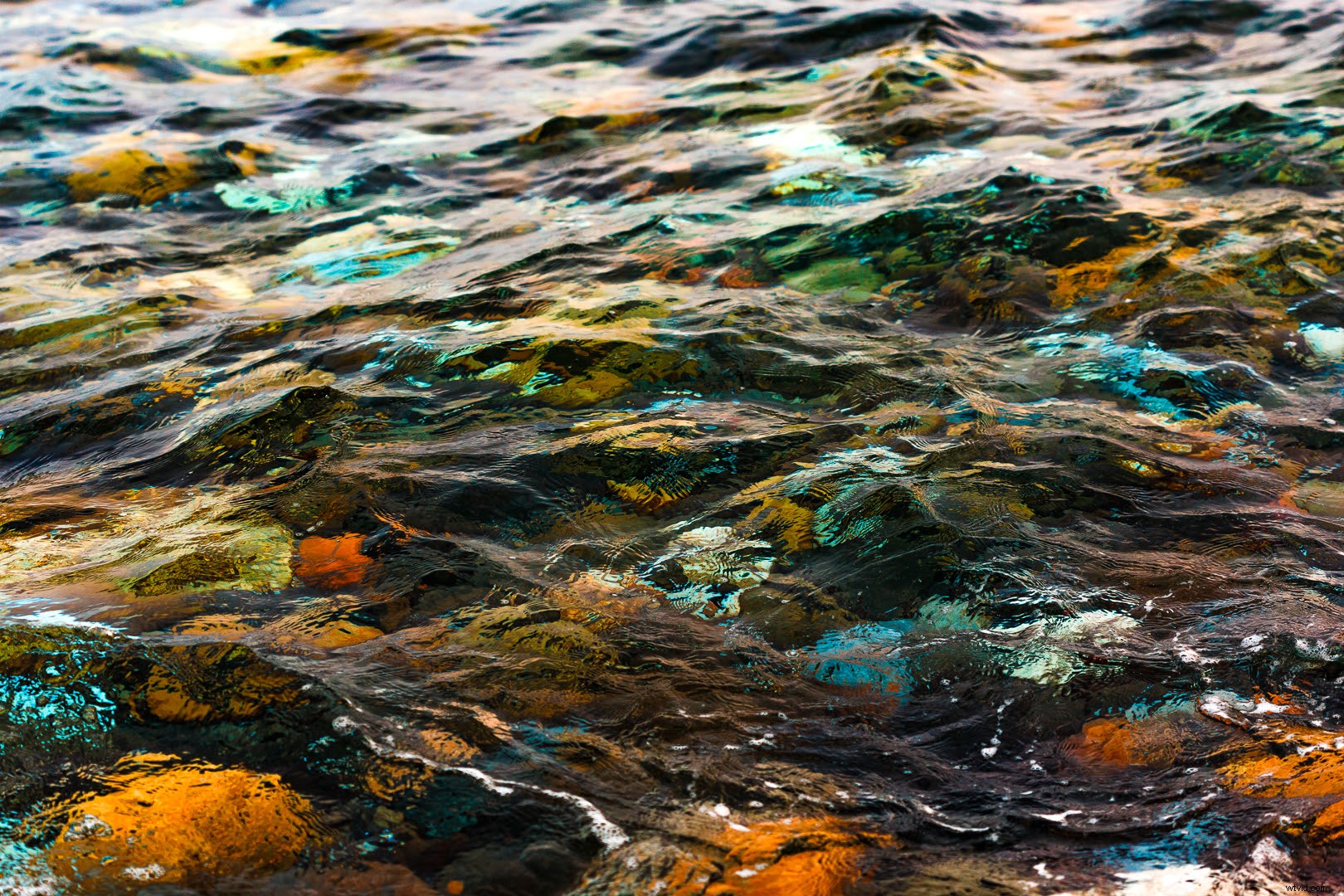 8 Creative Ideas for Stunning Abstract Photography